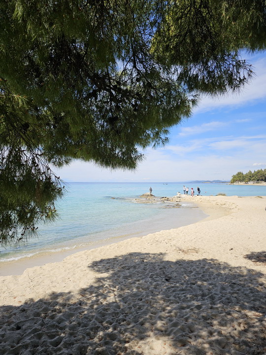 KalogriabeachSithonia 